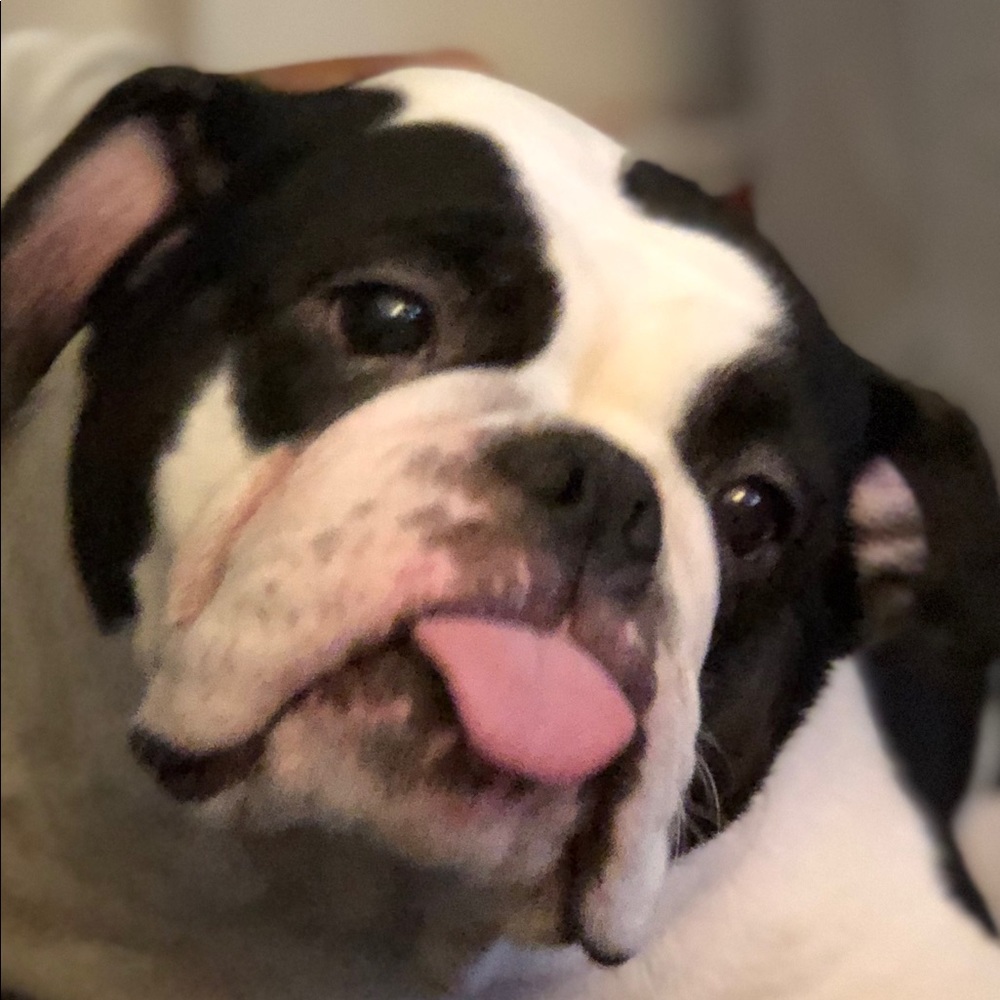 Meet your Posher, Kara